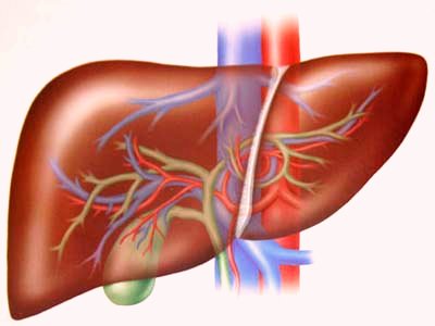 Tổ chức Y tế Thế giới công bố hướng dẫn điều trị viêm gan C